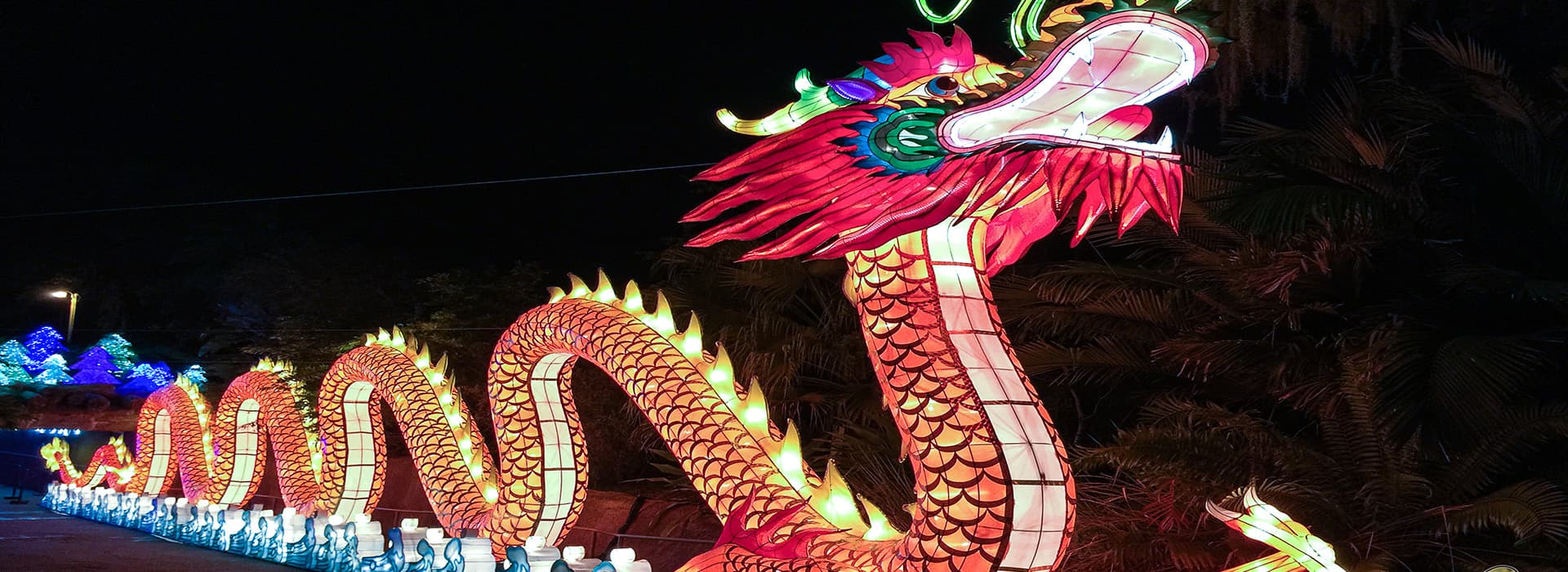 Illuminated Chinese dragon lantern at night