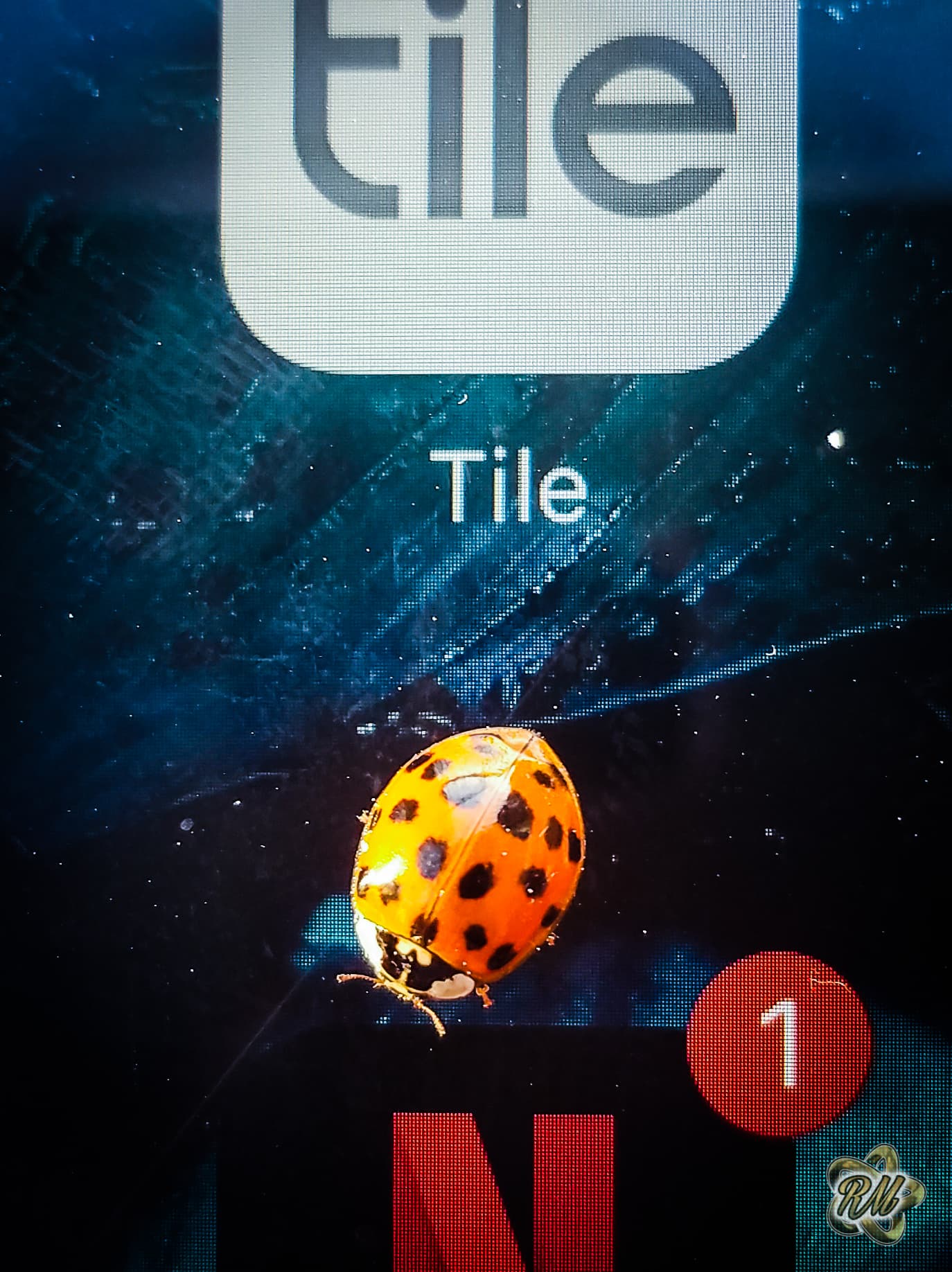 Tile detail with a small red marker on a blue gradient background